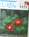 しぜん  キンダーブック  6  きんぎょ