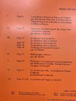 La peinture à fresque au temps de Pompéi
