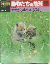 朝日百科動物たちの地球45