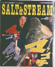 SALT&STREAM　2000/9