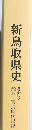 新鳥取県史　考古3