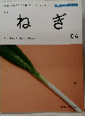 ねぎ　04