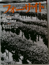 フォーサイト　2002年5月18日号