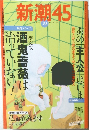 新潮45　２００４年１０月号　