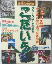 こだいら