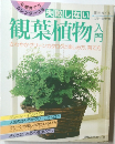失敗しない観葉植物入門　　