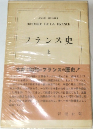 フランス史　上　