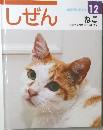 しぜん 12　ねこ