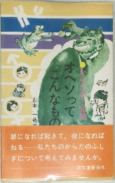 オヘソってこんなもの