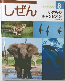 しぜん　8  いきものチャンピオン