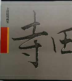 寺田政明画集