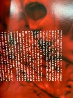 Shinkansen R・PHANTOM　The Vampire Strikes Rock　パンフレット