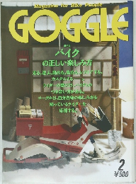 GOGGLE　2