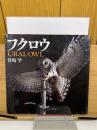 フクロウ URAL OWL