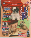 アニファ　1999年3月号