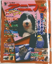アニファ　１９９８年８月号　