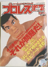 プロレス激本　No.9　