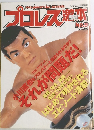 プロレス激本　No.9　