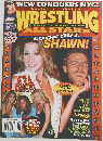 WCW CONQUERS NYC!　No.88　１９９６年１１月号　