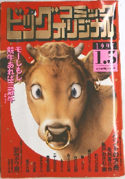 ビッグコミックオリジナル　1995年1/5号