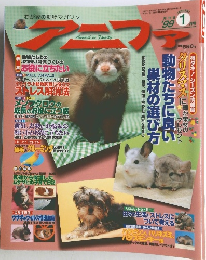 アニファ　1999年1月