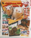 アニファ　2000年6月