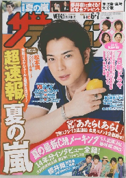 ザテレビジョン　2013年号 No.22