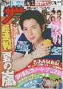 ザテレビジョン　2013年号 No.22