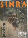 SINRA　1995年6月号