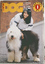 DOG　1984年1月号