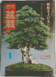 月刊　近代盆栽　1983年1月号
