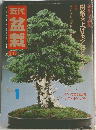 月刊　近代盆栽　1983年1月号