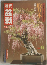 近代盆栽　取り木　1982年6月号