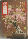 近代盆栽　取り木　1982年6月号