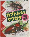 カブトムシとクワガタ