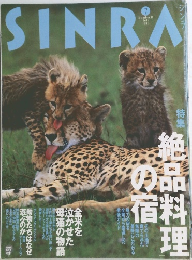 SINRA 1996年7月号