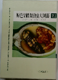 原色杲蝶類幼虫大図鑑　Vol.2