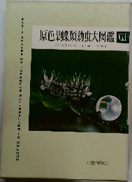 原色杲蝶類幼虫大図鑑 Vol.I