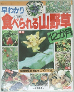 早わかり食べられる山野草12か月
