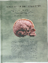 MYSTERIES OF THE HUMAN BODY
