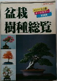 盆栽樹種総覧