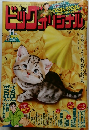 ビッグコミックオリジナル増刊 2025年11月増刊号