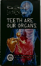 TEETH ARE  OUR ORGANS