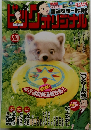 ビッグコミックオリジナル　2025年5月号
