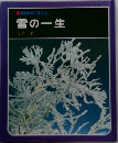 科学のアルバム　雪の一生
