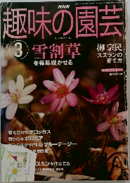 NHK趣味の園芸　2004年3月号