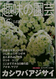 NHK趣味の園芸　2001年6月号