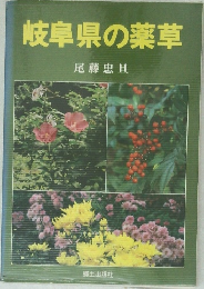 岐阜県の薬草