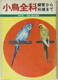小鳥全科 飼育から利殖まで