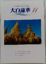 大白蓮華　2004年11月 No.656